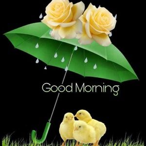 Meet your Posher, Sushmita